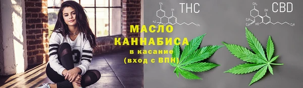гидра Вязники
