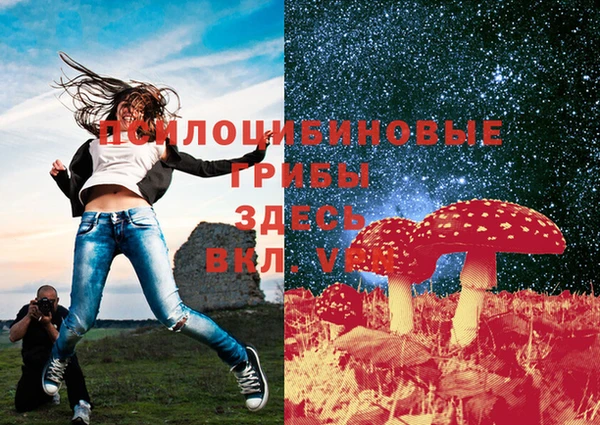 ECSTASY Вяземский
