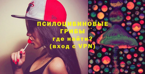 гидра Вязники