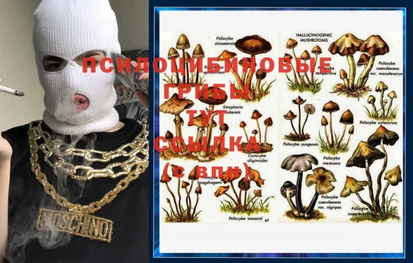гидра Вязники
